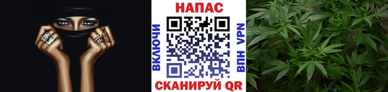 Наркотические вещества Новотитаровская Кокаин  Амфетамин  KRAKEN ТОР  Галлюциногенные грибы  Мефедрон  МАРИХУАНА  ГАШИШ  СОЛЬ 