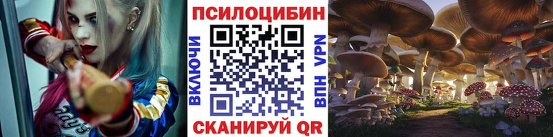 Галлюциногенные грибы Psilocybine cubensis  даркнет сайт  Новотитаровская 